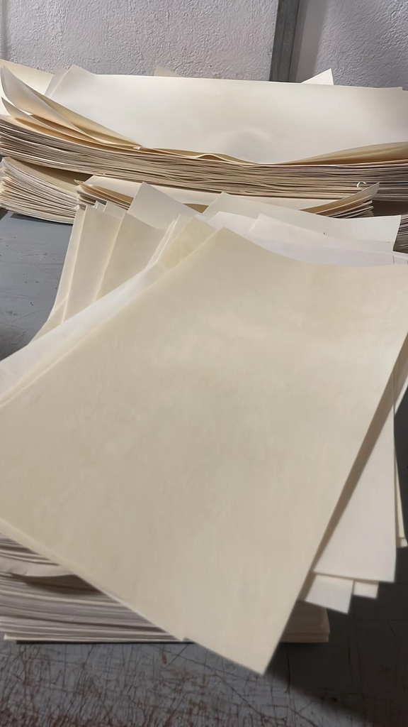 paquete de 100 formatos de Pergamino en piel de Cordero de 37x21cm