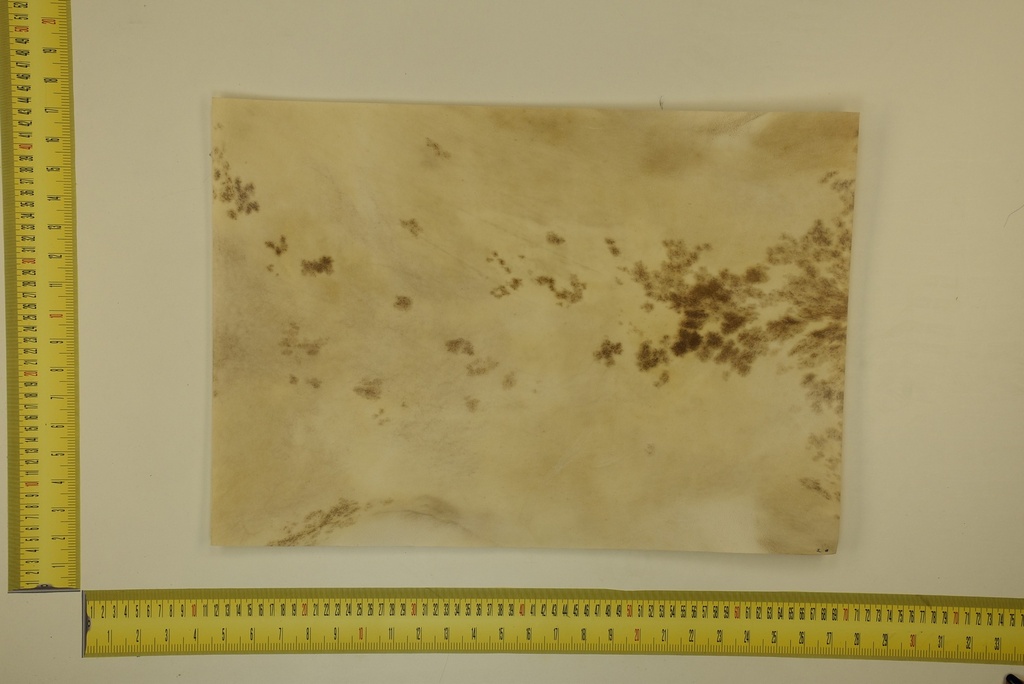 Formato moteado 53 X 37 2ª ID.006