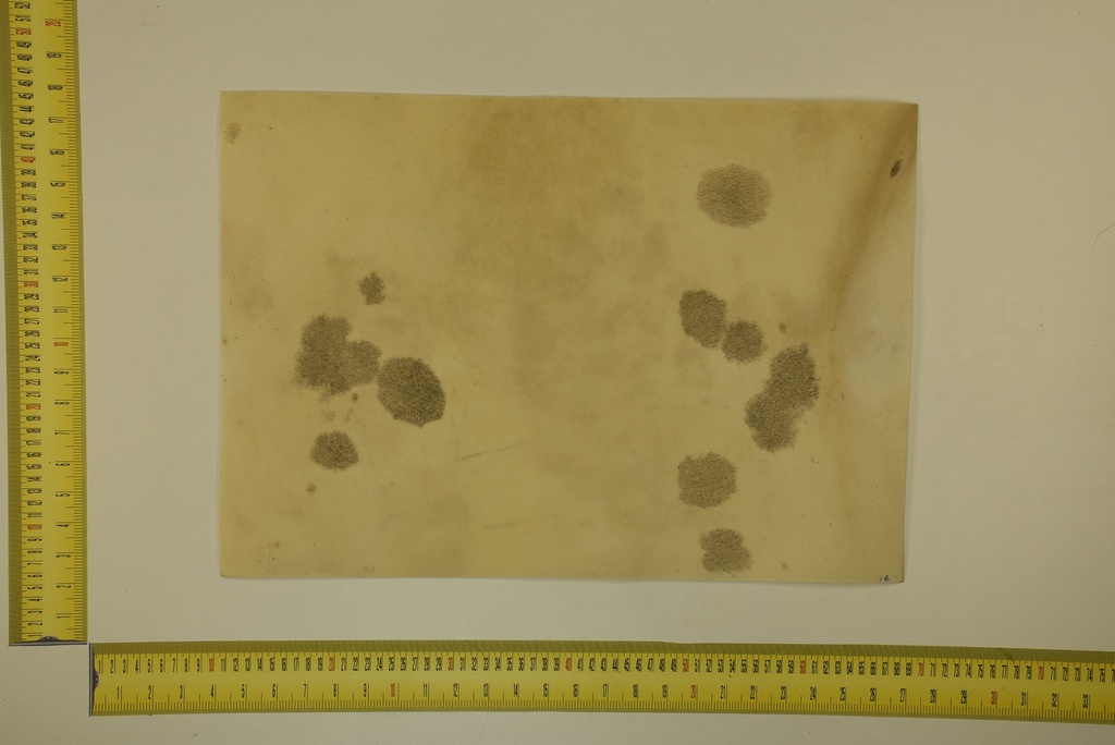 Formato moteado 53 X 37 2ª ID.031