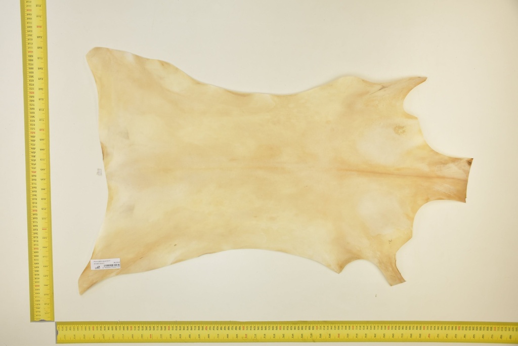 Piel de cabrito natural ID.017