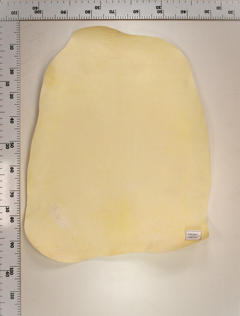 Cordero Blanco 22-0000-02-075