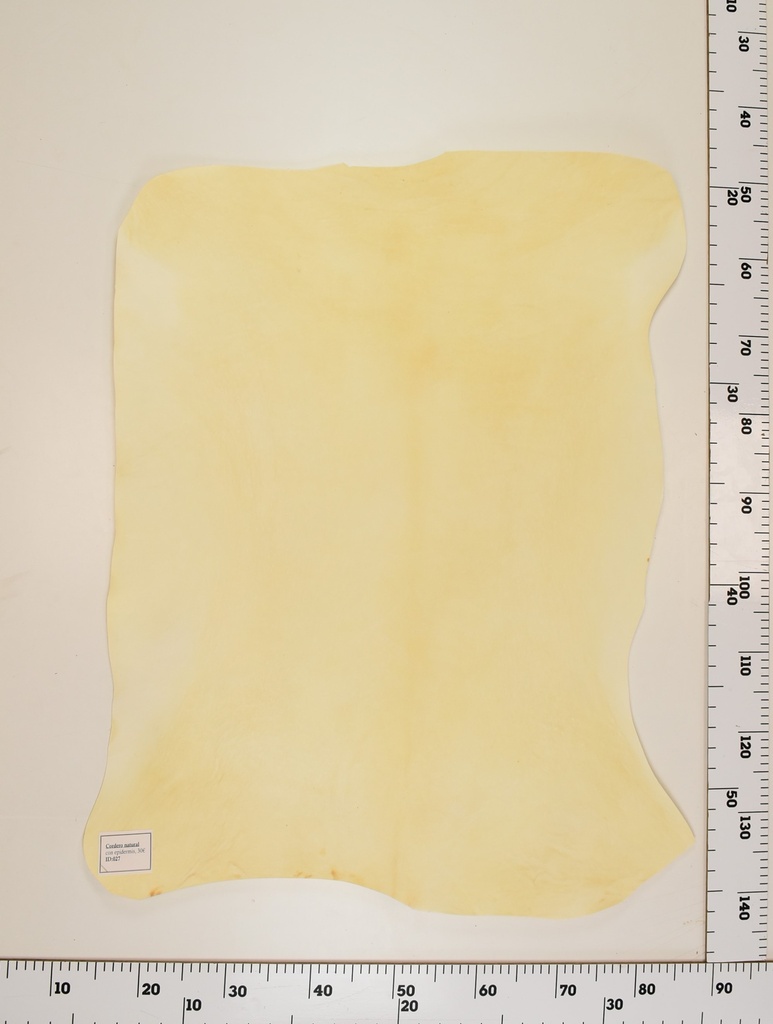 Cordero Natural ID027