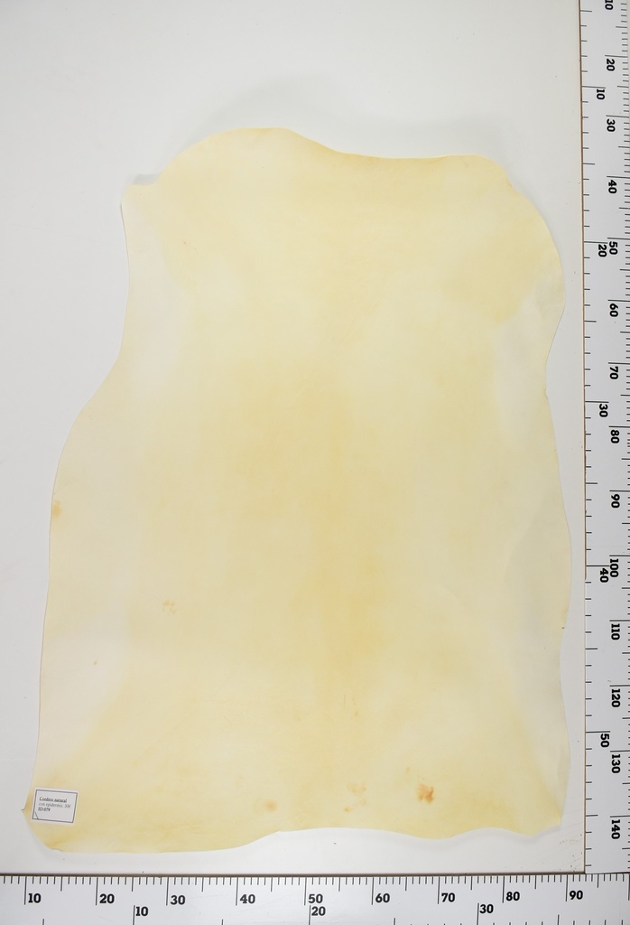 Cordero Natural ID079