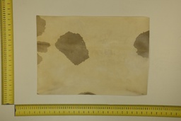 [22-5337-26-012] Formato moteado 53 X 37 2ª ID.012