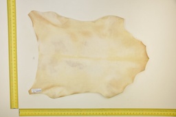 [24-0001-03-005] Piel de cabrito natural ID.005