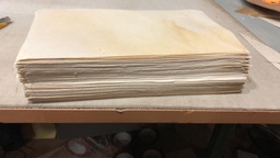 paquete de 100 formatos de 37x 21 en Pergamino de piel de Cordero con epidermis