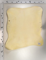 [22-0000-02-062] Cordero Blanco 22-0000-02-062