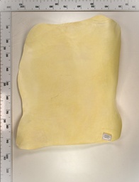 [22-0000-02-070] Cordero Blanco 22-0000-02-070