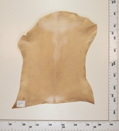 [24-0001-009] Cabrito Marrón ID009