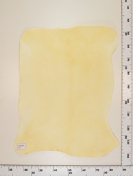 [22-0001-00-027] Cordero Natural ID027