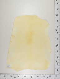 [22-0001-00-030] Cordero Natural ID030