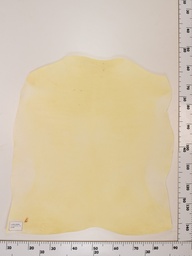 [22-0001-00-049] Cordero Natural ID049