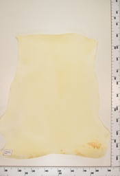 [22-0001-00-059] Cordero Natural ID059