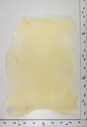 [22-0001-00-082] Cordero Natural ID082