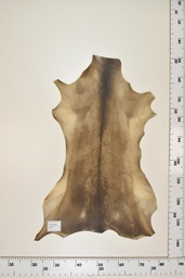 [22-0001-17-058] Cordero Negro ID058